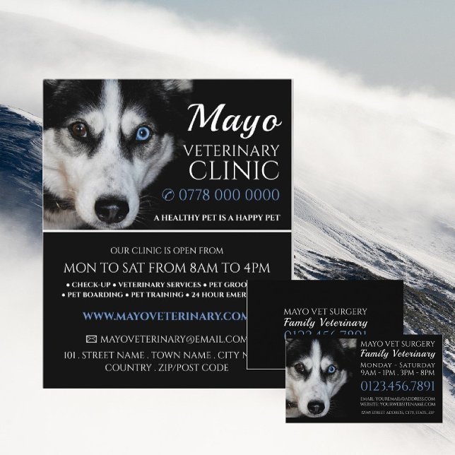 Flyer Husky, Veterinário, Serviço Veterinário (Criador carregado)