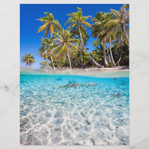 Flyer Ilha Tropical sob e acima da água