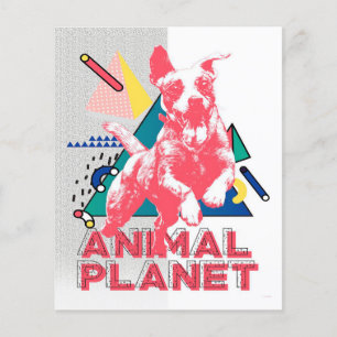 Flyer Impressão de tela de cachorro feliz   Bonito prese