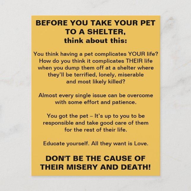 Flyer Informações do Abrigo de Animais (Frente)
