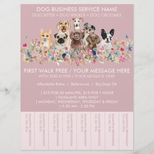 Flyer Ingressos com Orçamento para Passeador de Cães da