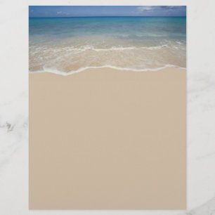 Flyer Insecto das férias