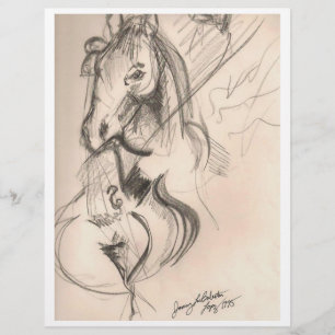 Flyer Insecto do desenho do violoncelo do cavalo