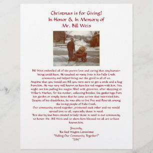 Flyer Insecto personalizado