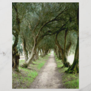 Flyer Insecto verde-oliva do jardim