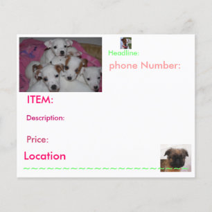 Flyer Insectos do filhote de cachorro