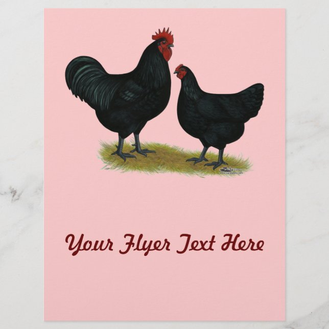 Flyer Jersey Giant Chickens (Frente)