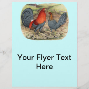 Flyer Leds Azuis do Jogo Americano