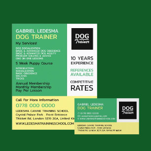 Flyer Logotipo da empresa, publicidade do Dog Trainer