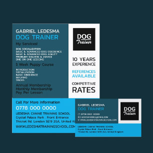 Flyer Logotipo da empresa, publicidade do Dog Trainer