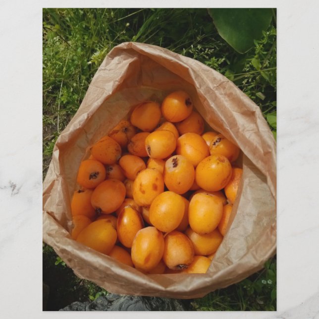 Flyer Loquats frescos (Frente)