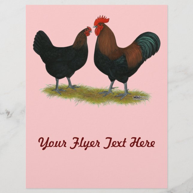 Flyer Marans Black Copper (Frente)