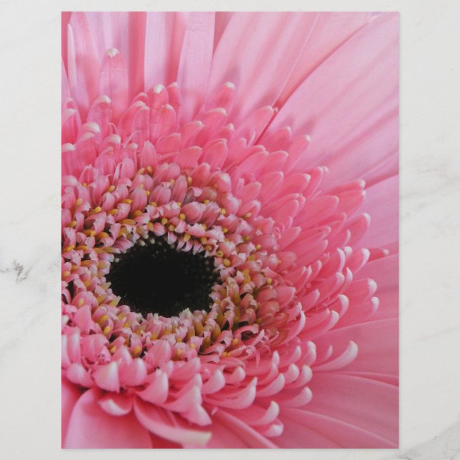 Flyer Margarida Gerbera (Frente)