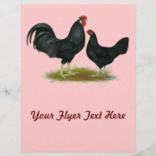 Flyer Marsh Daisy Chickens