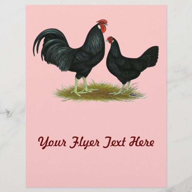 Flyer Marsh Daisy Chickens (Frente)