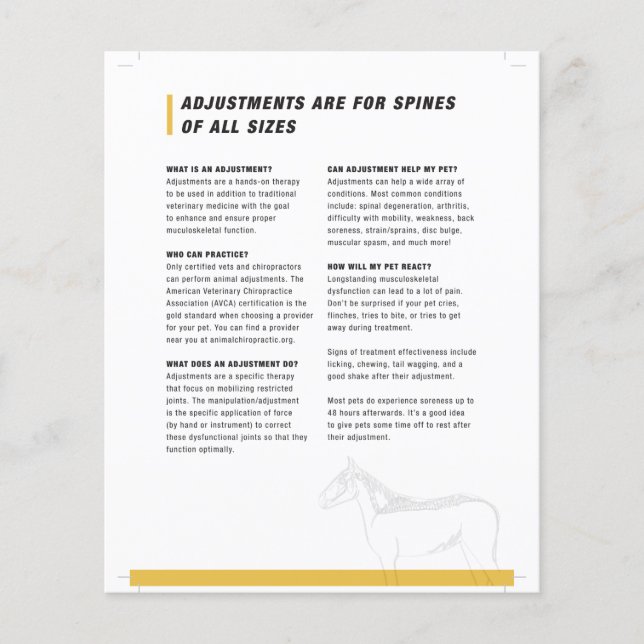 Flyer Meia folha de equinos (Frente)