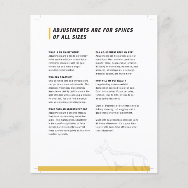 Flyer Meio folha canina (Frente)