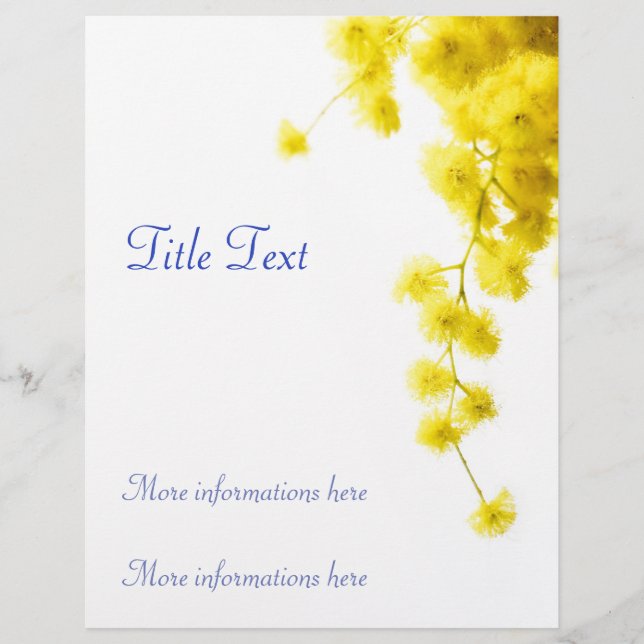 Flyer Mimosa (Frente)