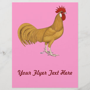 Flyer Minorca: Buff Rooster
