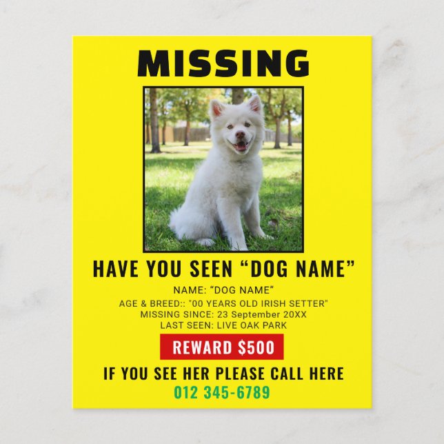 Flyer Missing Pet Dog – Urgent Template Poster (Frente)