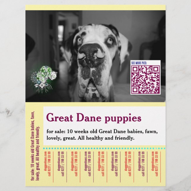 Flyer Modelo colorido temático de cachorro para  (Frente)