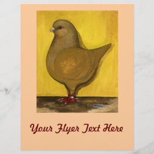 Flyer Modena Yellow Schietti