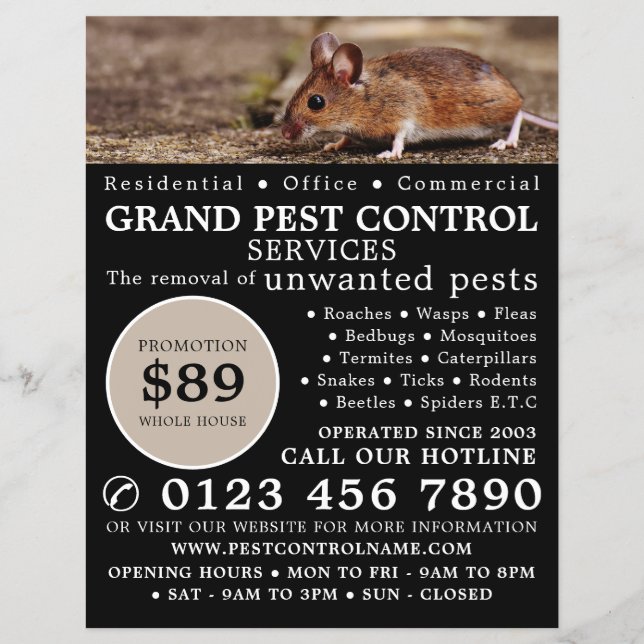 Flyer Mouse, Anúncio de Controle de Pest (Frente)
