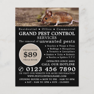 Flyer Mouse, Anúncio de Controle de Pest