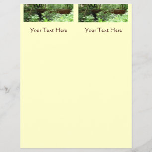 Flyer Muir Woods Ponte I