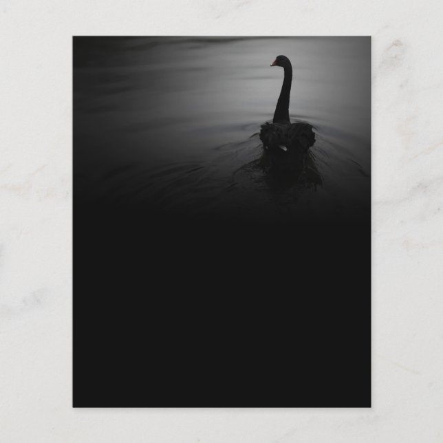 Flyer Nadação Elegante Swan Negro (Frente)
