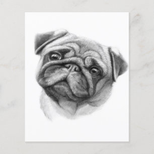 Flyer O Retrato do Pug   Rosto de Cachorro Pug Fofo