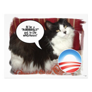 Flyer Obama Pet/Humor Político