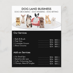 Flyer Oferta de serviço de pet groomer Sitter Walker da