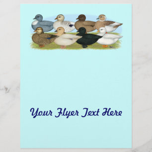 Flyer Oito patos da chamada