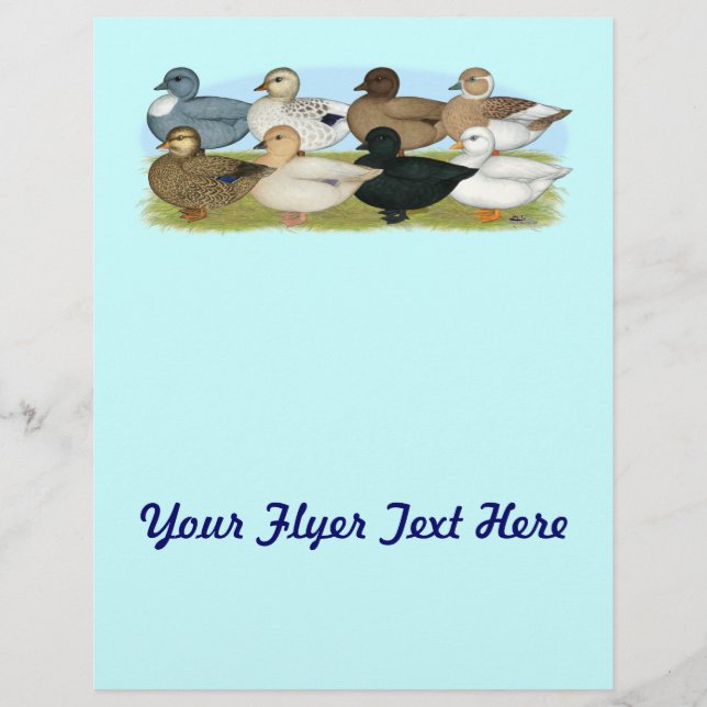 Flyer Oito Patos de Chamada (Frente)