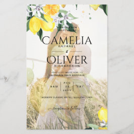 Flyer Orçamento tudo em 1 FOTO SOBREPOSIÇÃO DOS limões C