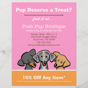 Flyer Os filhotes de cachorro da loja três do boutique