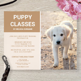 Flyer Ouro Retriever Puppy Fotografia Personalizada Clas