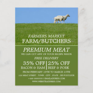 Flyer Ovinos em Grass, Farmer e Publicidade a Butcher