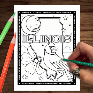 Flyer página coloração de fatos do estado de Illinois