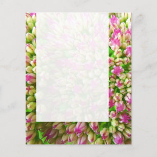 Flyer Painel 0110 - Sedum "Alegria de outono" (B&W)