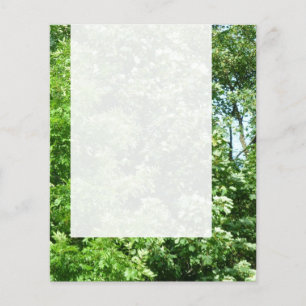 Flyer Painel 024 - Respiração de Verão