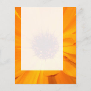 Flyer Painel 026 - Orange Marigold