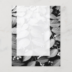 Flyer Painel 037 - Folhas