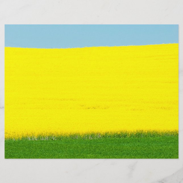 Flyer Paisagem (Frente)