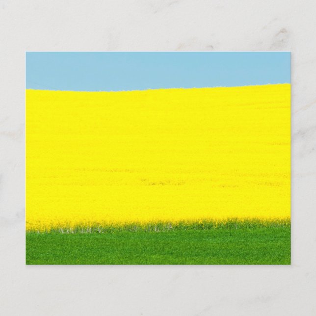 Flyer Paisagem (Frente)