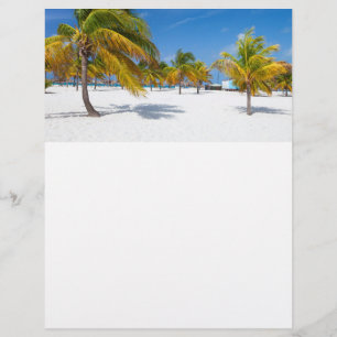 Flyer Palmeiras na praia do oceano