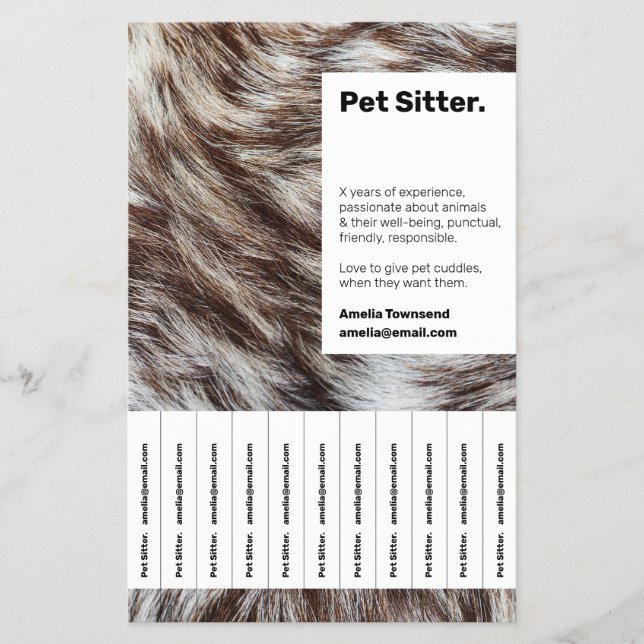 Flyer Pannelet de Cuidado Profissional de Animais de Est (Frente)