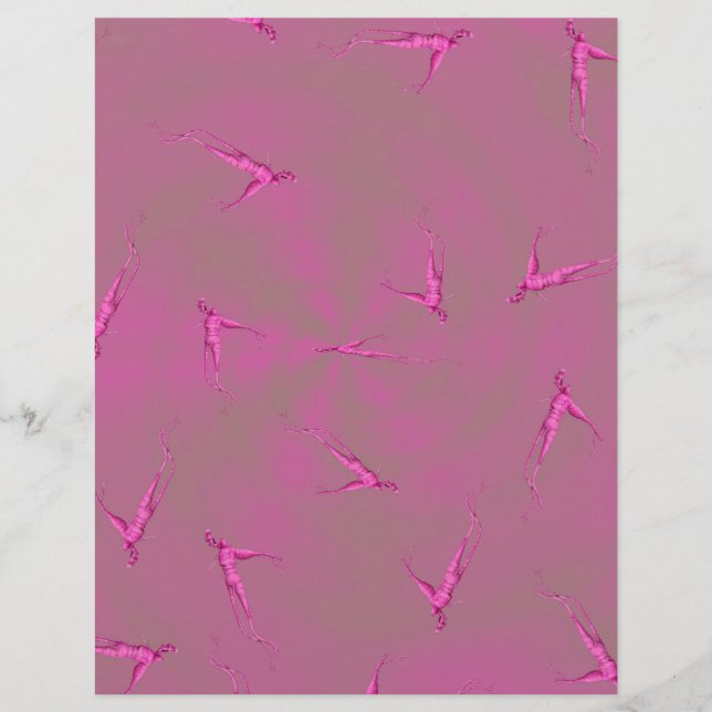 Flyer Papel de Scrapbook em Volume Homem Ginseng Rosa (Frente)