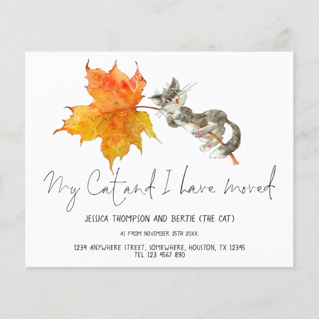 Flyer PAPEL | Engraçado Meu Gato Eu Mudei O Script Para  (Frente)